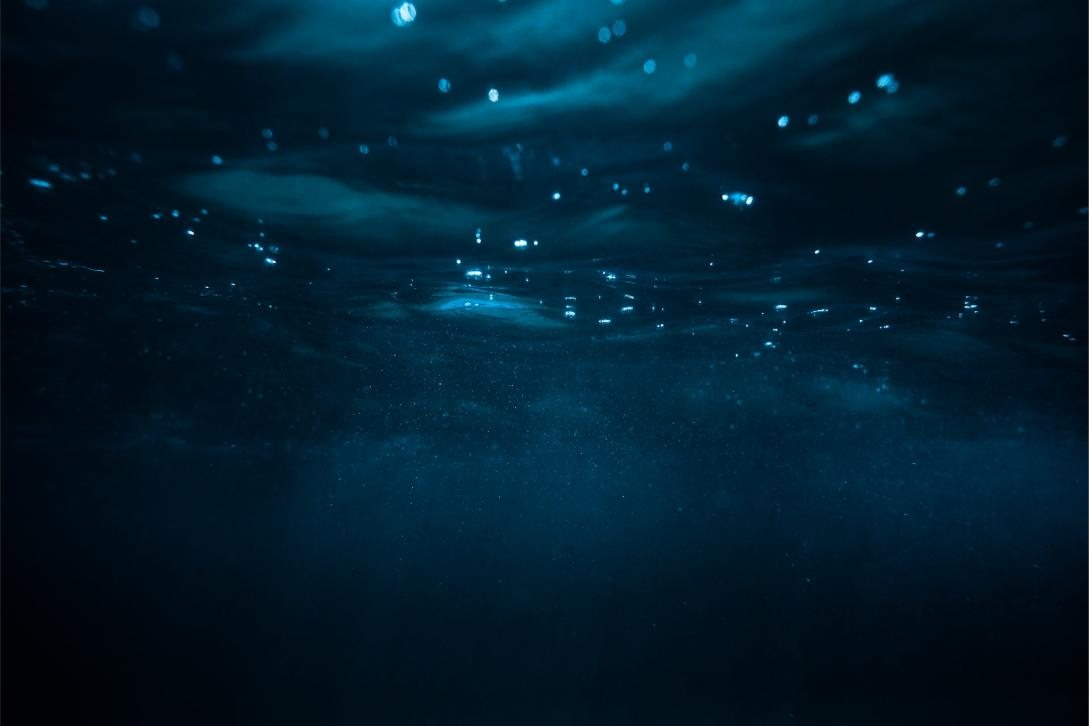 Giant squid habitat in a deep blue aquarium